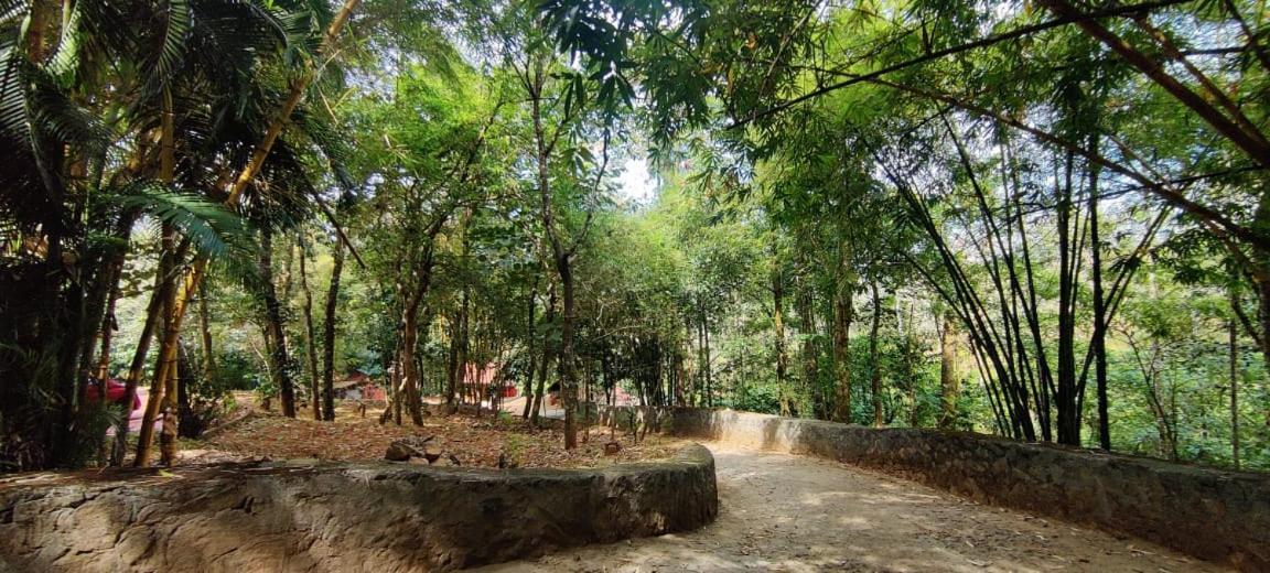 Clay Resort By Bestinn Leisure - Wayanad Padinjarathara Dış mekan fotoğraf